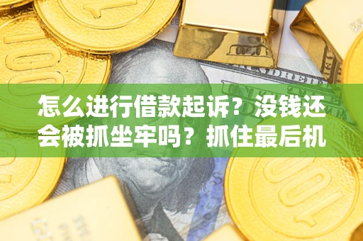北京怎么进行借款起诉？没钱还会被抓坐牢吗？抓住最后机会！