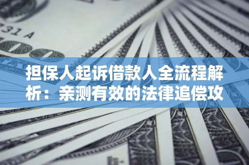 北京担保人起诉借款人全流程解析：亲测有效的法律追偿攻略
