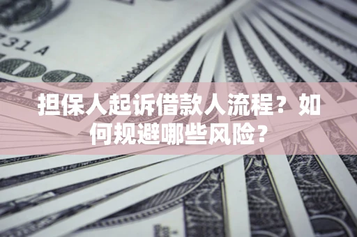 北京担保人起诉借款人流程？如何规避哪些风险？