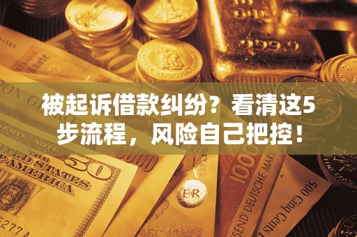 北京被起诉借款纠纷？看清这5步流程，风险自己把控！