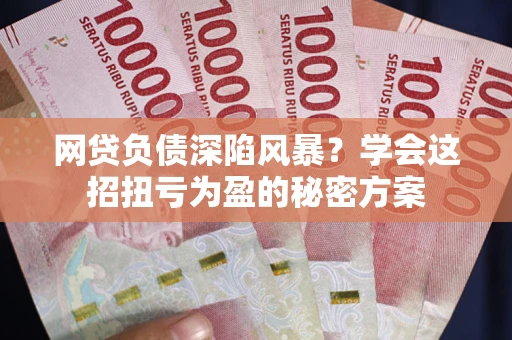 北京网贷负债深陷风暴？学会这招扭亏为盈的秘密方案